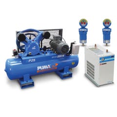 PUMA Air Compressor 4HP & 600L/min Dryer Professional Kit PUP25415VPKG